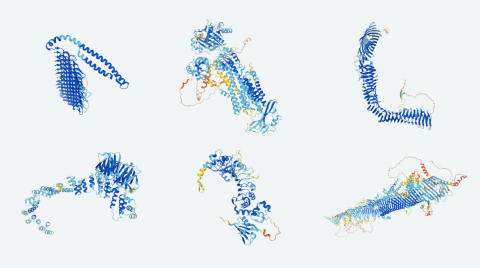 AlphaFold predice la estructura 3D de una proteína